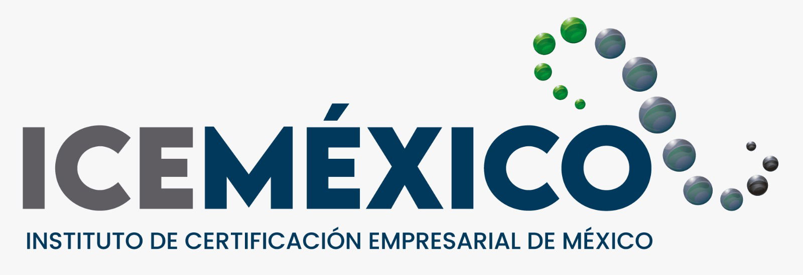 logoICE.jpg
